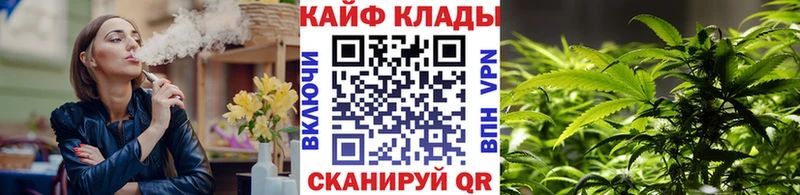 Виды наркотиков купить Александров АМФЕТАМИН  МЕТАМФЕТАМИН  COCAIN  Галлюциногенные грибы  APVP  МАРИХУАНА 