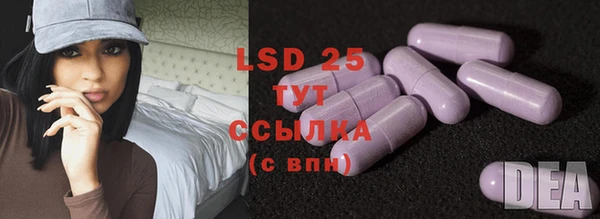 спайс Щигры