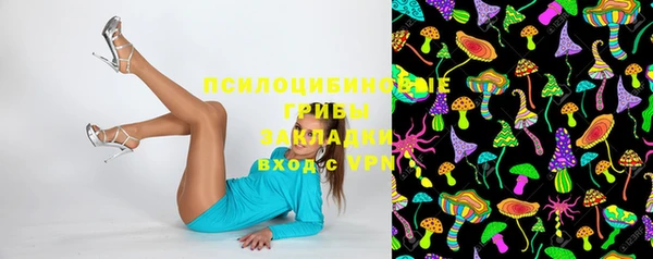 спайс Щигры