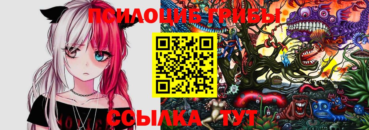Александров  Галлюциногенные грибы мухоморы  Вход с VPN 