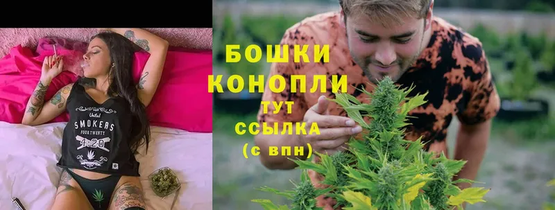 Каннабис Bruce Banner  купить наркотик  мега зеркало  Александров 